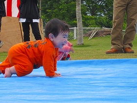 おっぱい祭り赤ちゃんハイハイ競争