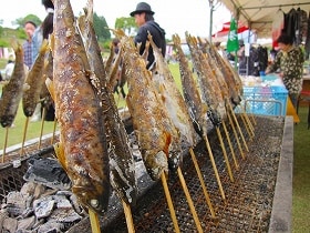 魚塩焼き